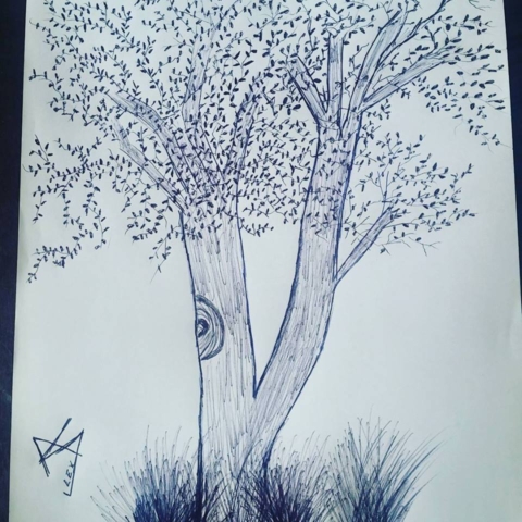 First Time Drew Tree